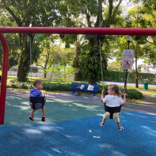 Copy of IMG_1217 (1) (1)