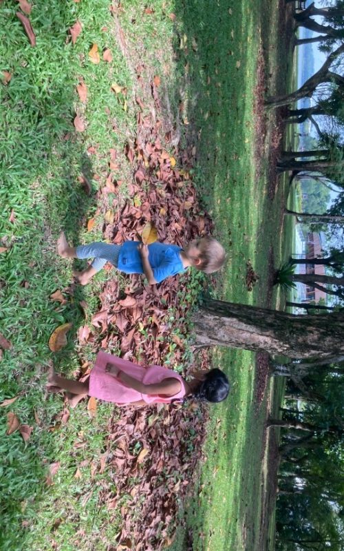 Copy of IMG_1560 (1)