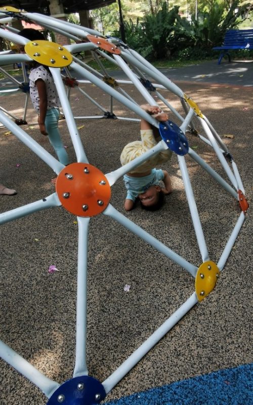 Copy of IMG_20240322_112506 (1)